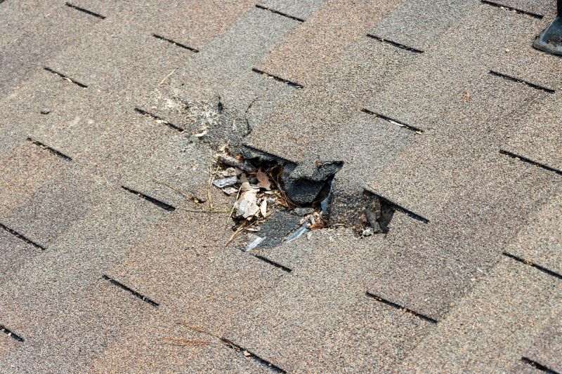 Roof Shingles Replacement in Framingham, MA